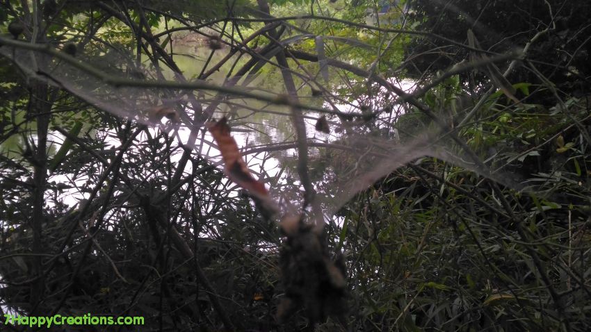 Shakujii-koen, park, koen, Saitama, Japan, plants, flowers, spider webs, nature, swan boats, paddle boats,